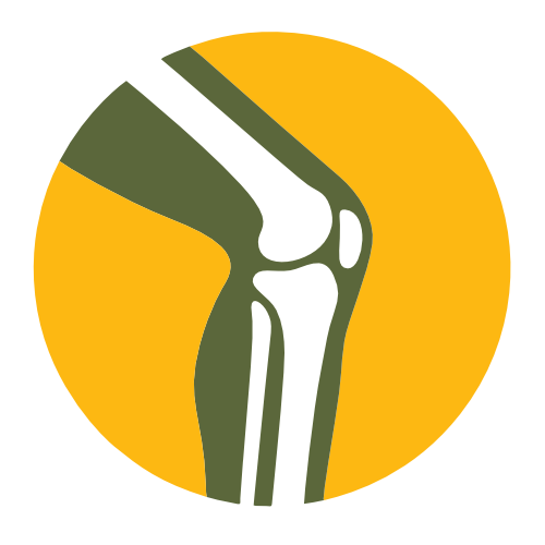 Knie